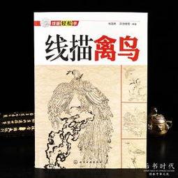 成人绘画线描教程视频,跟随线描教程视频，轻松掌握线条艺术