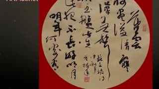 成人书法大字怎么写的视频,轻松掌握大字书写技巧