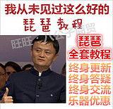 自学琵琶成人教程视频