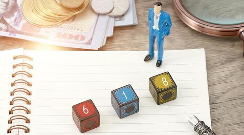 成人小红书视频