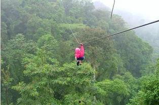 成人索道滑行视频播放,惊险刺激！成人索道滑行瞬间回顾